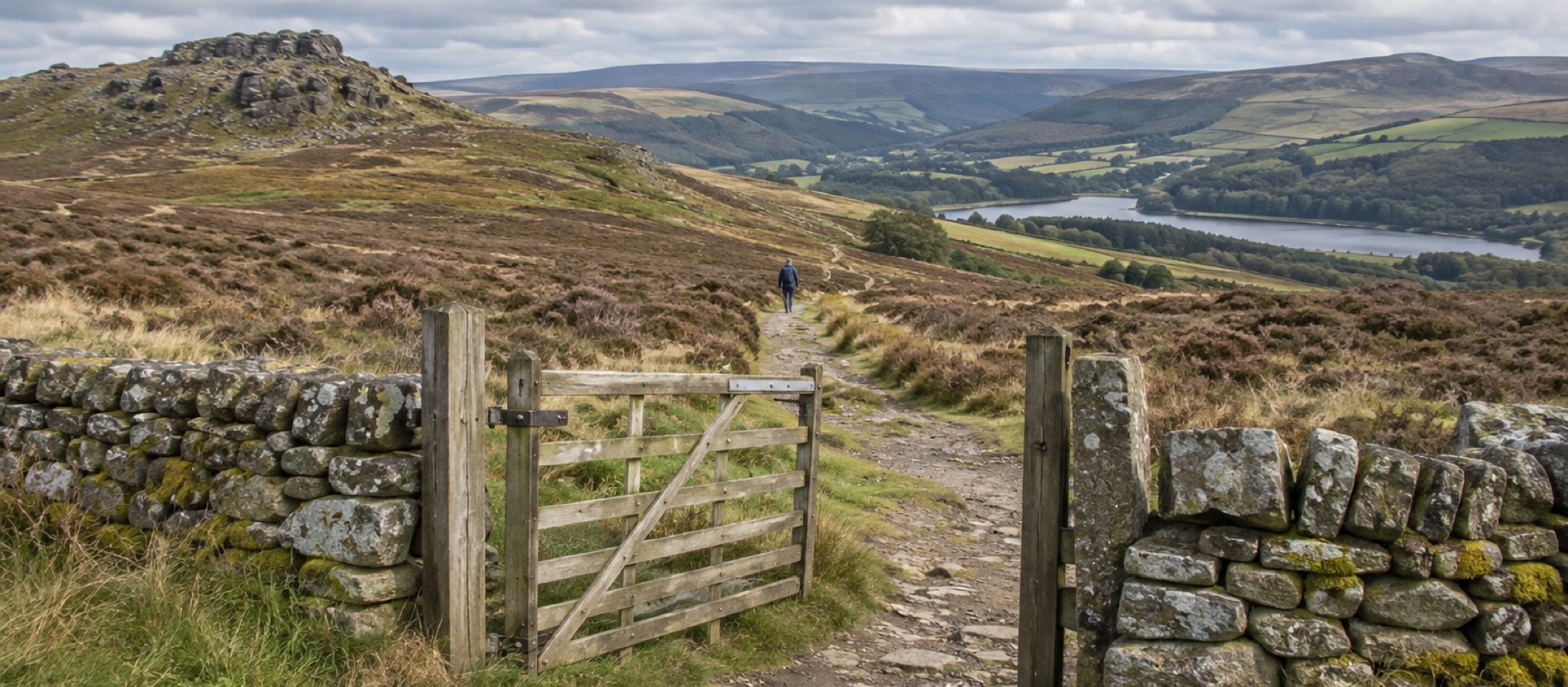 Walking route over British upland moor through a field gate